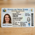 permis de conduire definitif